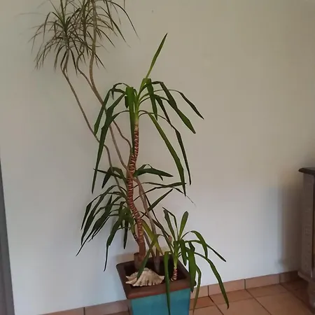 Gite Bunus 아파트