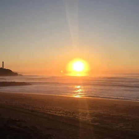 Gite Bunus 아파트 Bunus