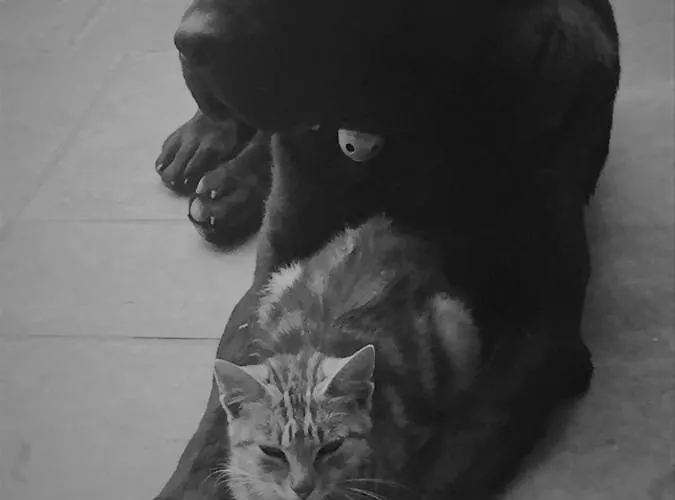 アパート Gite Bunus Bunus