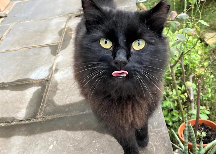 Gite Bunus アパート *