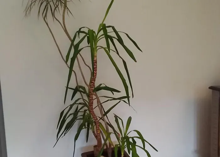 Gite Bunus アパート