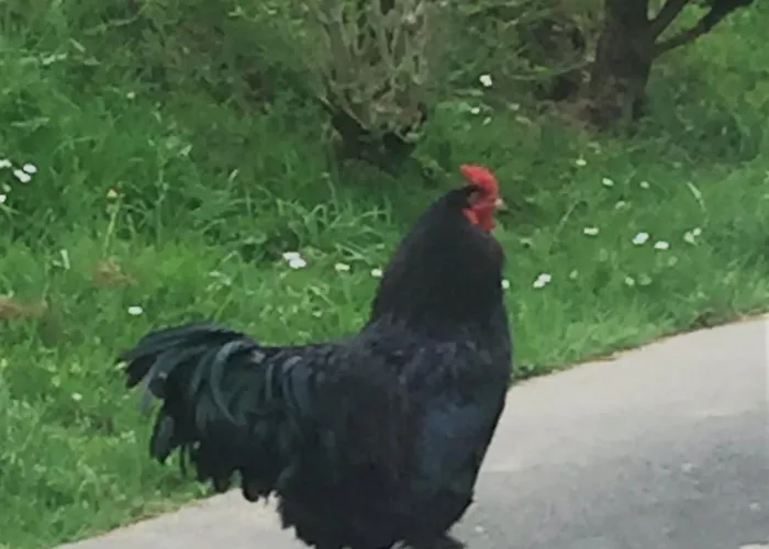 アパート Gite Bunus *